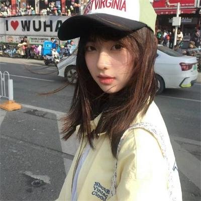 企鹅之岛:福克兰